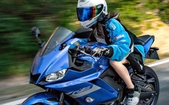 双腿打开揉弄高潮H苏安安秦慕深